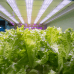 indoor-farming-light-temperature-humidity-control
